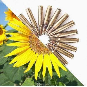 Meet your Posher, Trinity